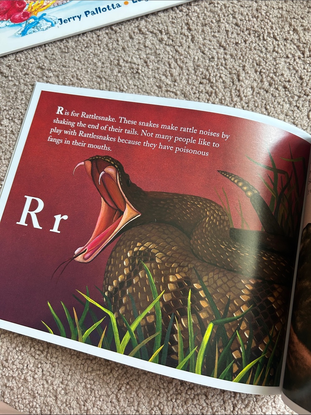 Alphabet Book Collection - Picture 7 of 8